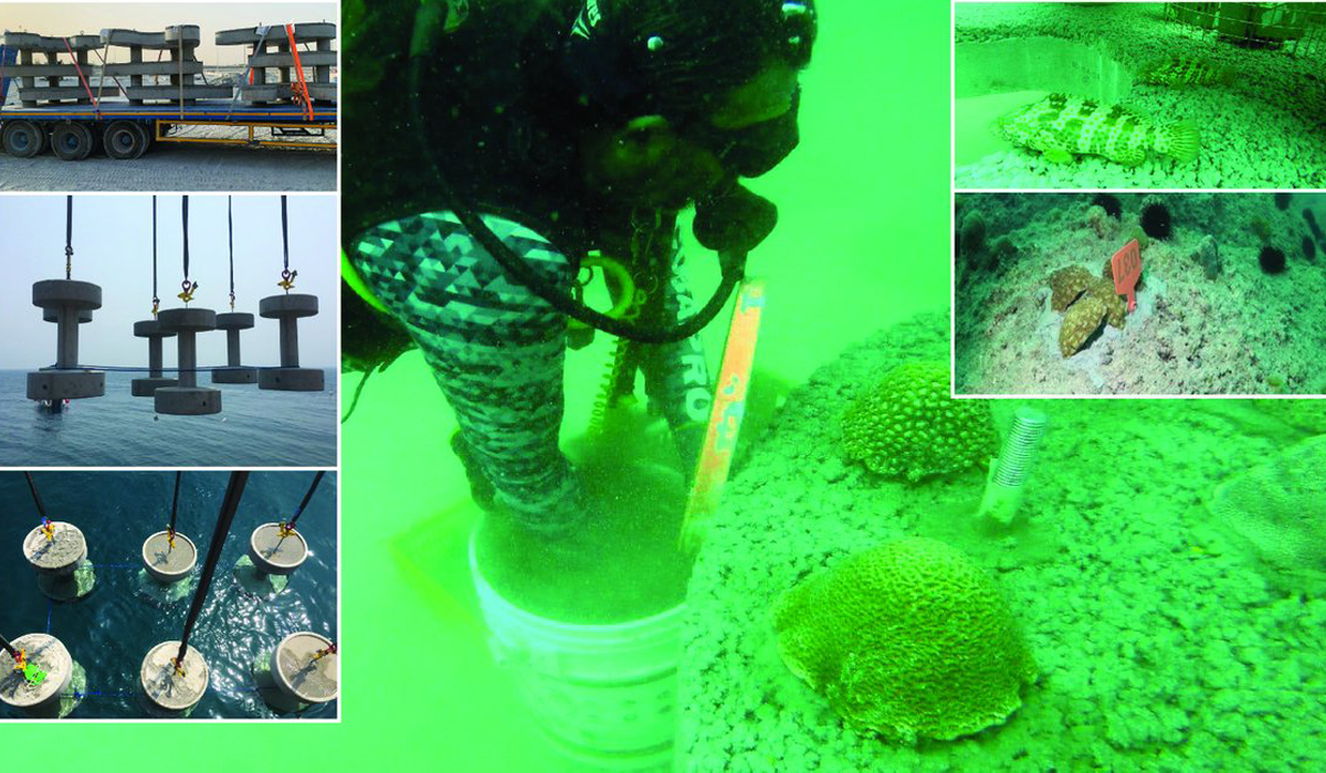 Qatargas Completes Key Milestone of Marine Biodiversity Programme